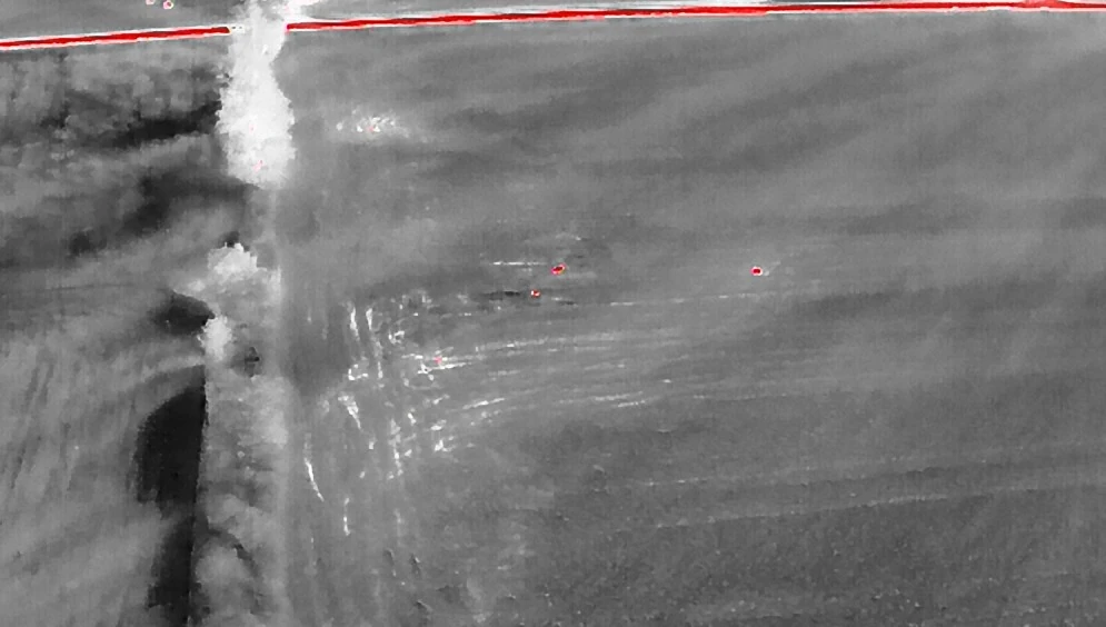Herd Analysis Image